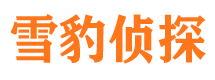 沈丘寻人公司